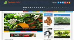 Desktop Screenshot of faydalarineler.com